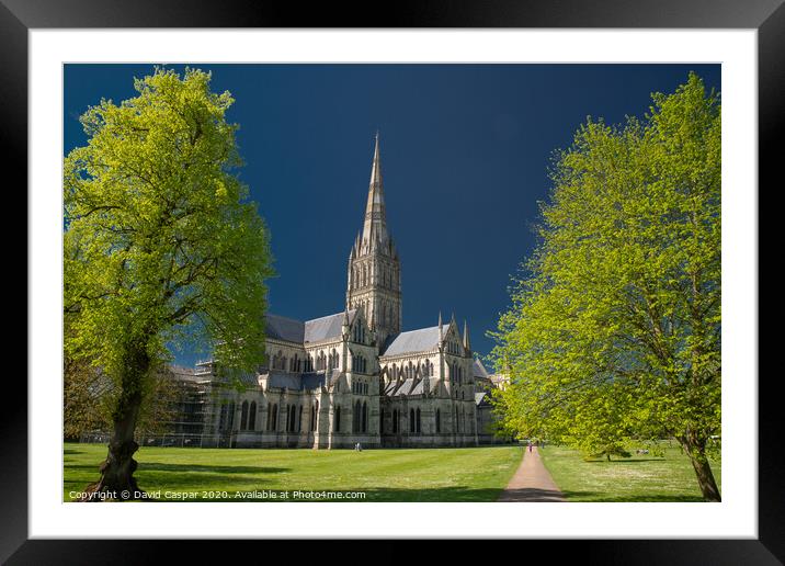 Salisbury Cathedral Framed Mounted Print by David Caspar