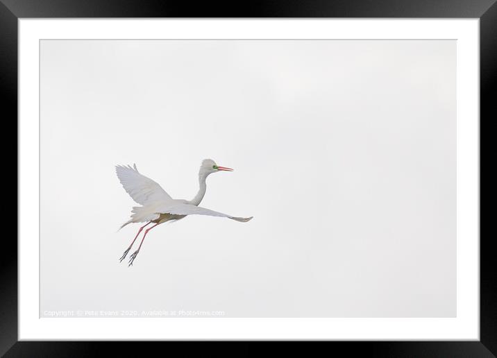 White on White Framed Mounted Print by Pete Evans