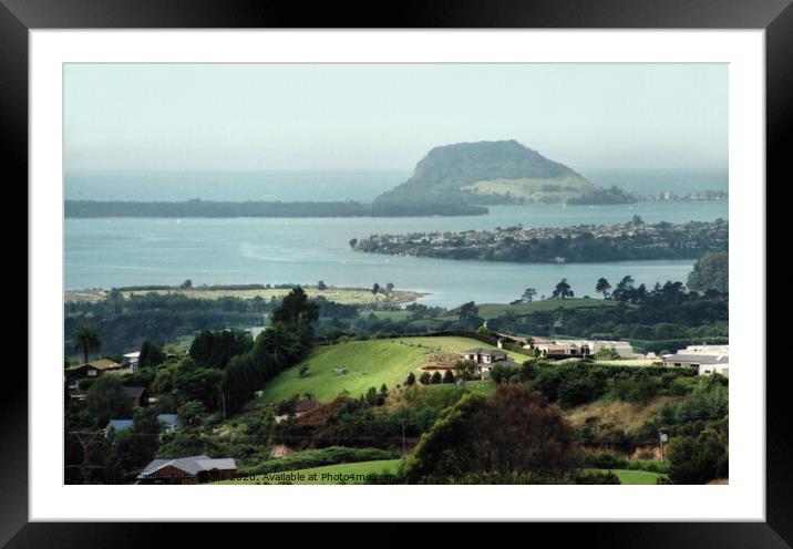 Bay of Plenty, New Zealand Framed Mounted Print by Carole-Anne Fooks
