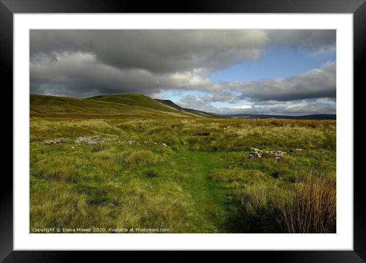 Yorkshire Dales Whernside  Landscape Framed Mounted Print by Diana Mower