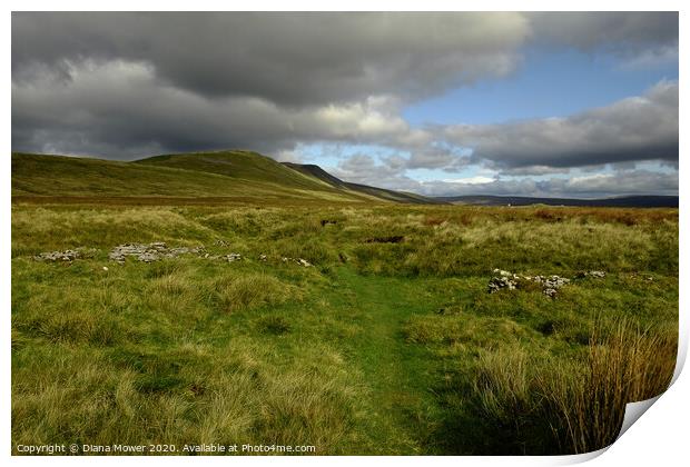Yorkshire Dales Whernside  Landscape Print by Diana Mower