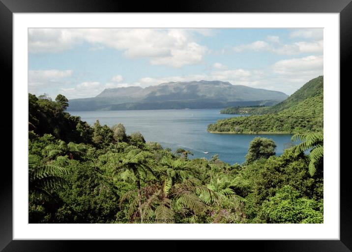 Lake and Mount Tarawera, New Zealand Framed Mounted Print by Carole-Anne Fooks