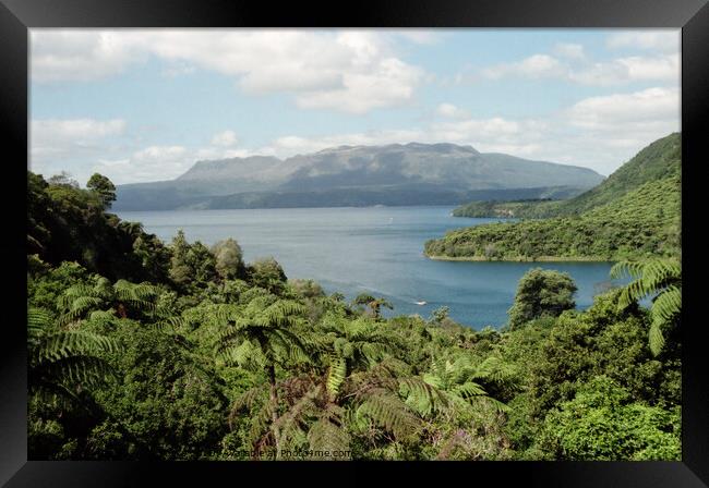 Lake and Mount Tarawera, New Zealand Framed Print by Carole-Anne Fooks