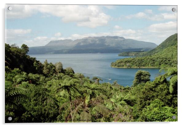 Lake and Mount Tarawera, New Zealand Acrylic by Carole-Anne Fooks