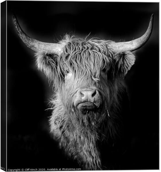 Highland Cow in black and white Canvas Print by Cliff Kinch
