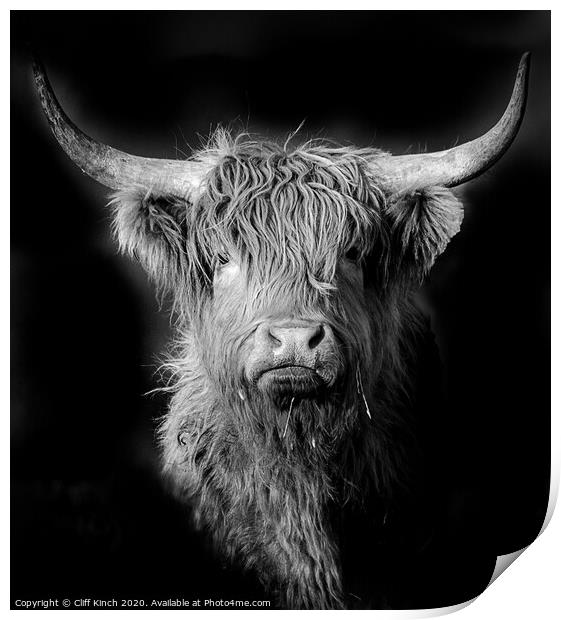 Highland Cow in black and white Print by Cliff Kinch
