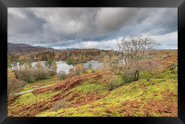 Autumnal Tarn Hows  Framed Print by Jonathon barnett