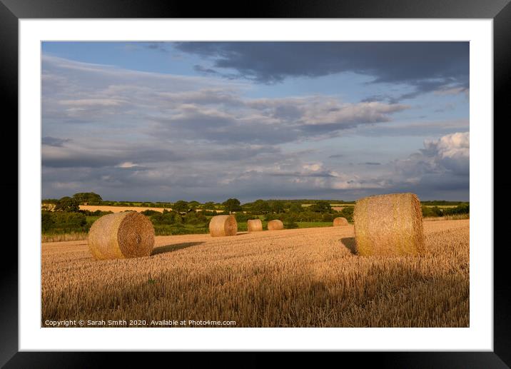 Straw bales in field late afternoon Framed Mounted Print by Sarah Smith