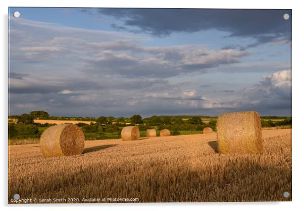 Straw bales in field late afternoon Acrylic by Sarah Smith