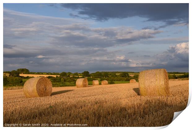 Straw bales in field late afternoon Print by Sarah Smith