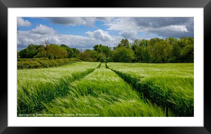 Fields of Green Framed Mounted Print by Robin Hunter