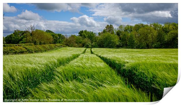Fields of Green Print by Robin Hunter