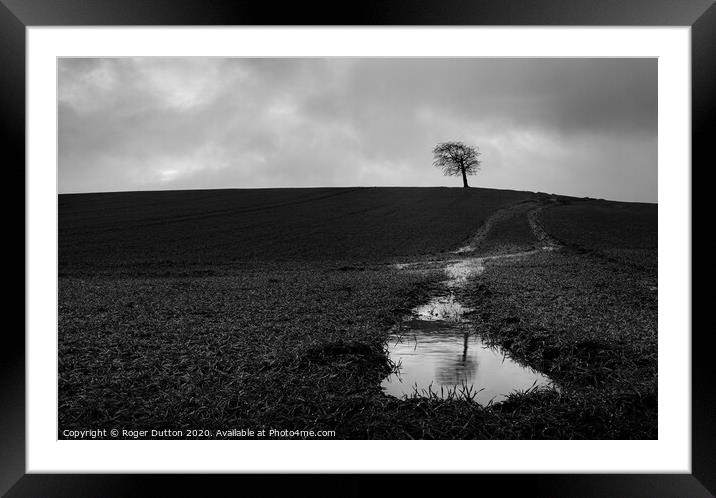 The Majestic Solitude of the Lone Tree Framed Mounted Print by Roger Dutton