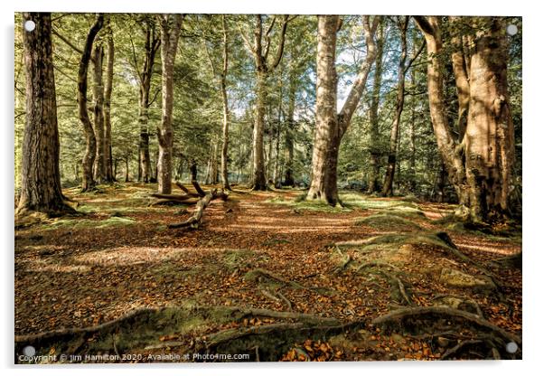 Tollymore Forest Park, Northern Ireland Acrylic by jim Hamilton