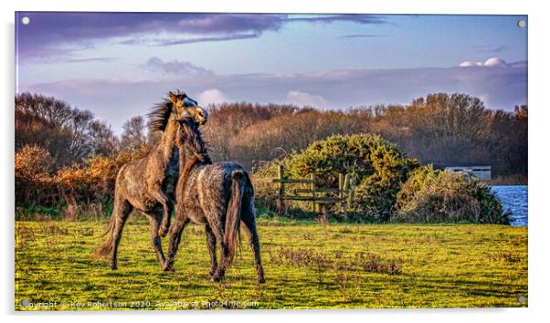 Welsh Ponies in a field Acrylic by Kev Robertson