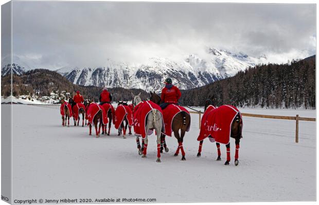 Snow polo team of horses in St Moritz Canvas Print by Jenny Hibbert