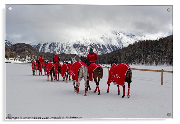Snow polo team of horses in St Moritz Acrylic by Jenny Hibbert