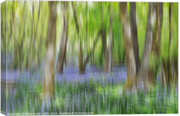 An Impressionistic Image of a Bluebell Wood in Spring Canvas Print by Peter Lovatt  LRPS