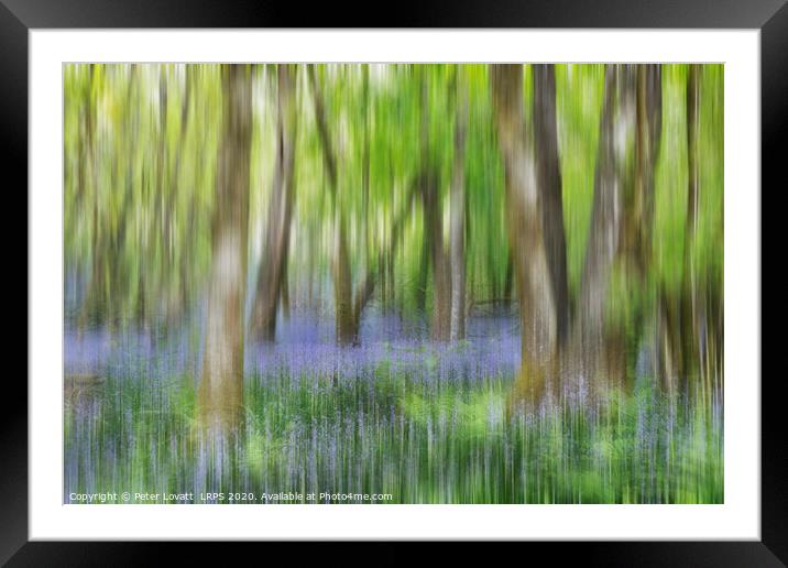 An Impressionistic Image of a Bluebell Wood in Spring Framed Mounted Print by Peter Lovatt  LRPS