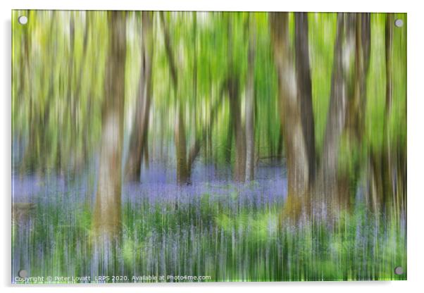 An Impressionistic Image of a Bluebell Wood in Spring Acrylic by Peter Lovatt  LRPS