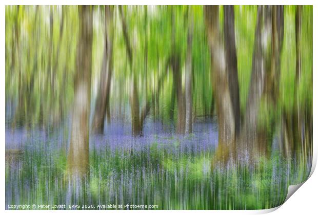 An Impressionistic Image of a Bluebell Wood in Spring Print by Peter Lovatt  LRPS