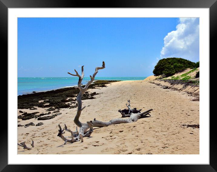 Driftwood on the Beach on Magaruque Framed Mounted Print by Jeremy Hayden