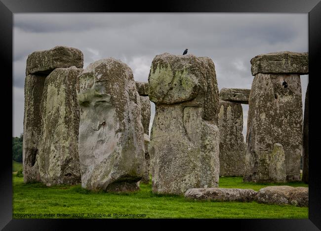 A detail of standing stones at Stonehenge, Wiltshire, UK. Framed Print by Peter Bolton