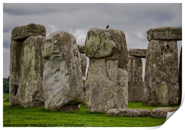 A detail of standing stones at Stonehenge, Wiltshire, UK. Print by Peter Bolton