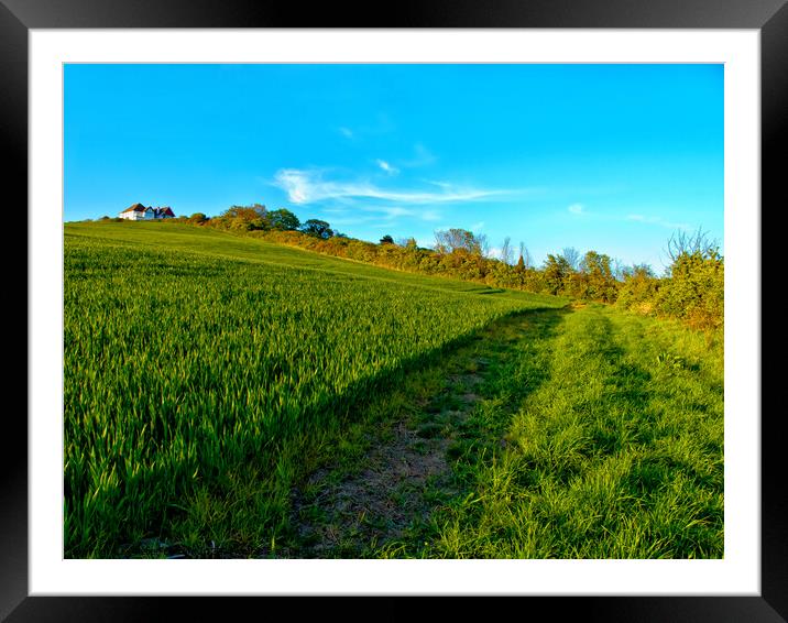 An English field with a white house on a hill. Hadleigh, Essex, UK.  Framed Mounted Print by Peter Bolton