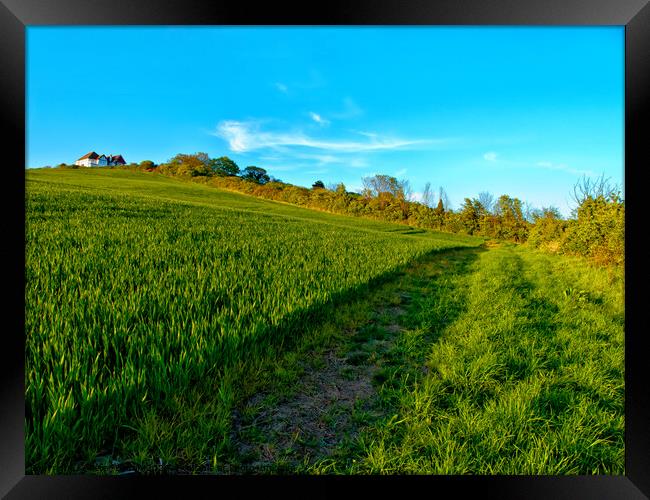 An English field with a white house on a hill. Hadleigh, Essex, UK.  Framed Print by Peter Bolton