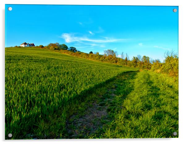 An English field with a white house on a hill. Hadleigh, Essex, UK.  Acrylic by Peter Bolton