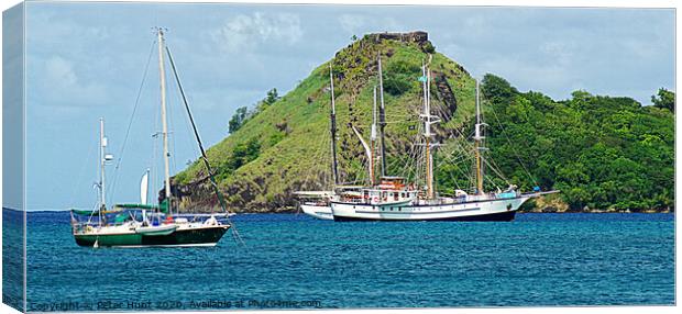 Pigeon Island Fort Rodney Canvas Print by Peter F Hunt