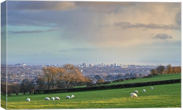 Above Cardiff Canvas Print by Richard Downs