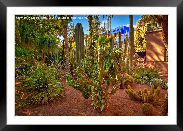 Cacti Garden, Marrakesh. Framed Mounted Print by Robert Murray