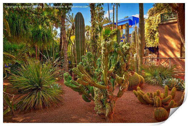 Cacti Garden, Marrakesh. Print by Robert Murray