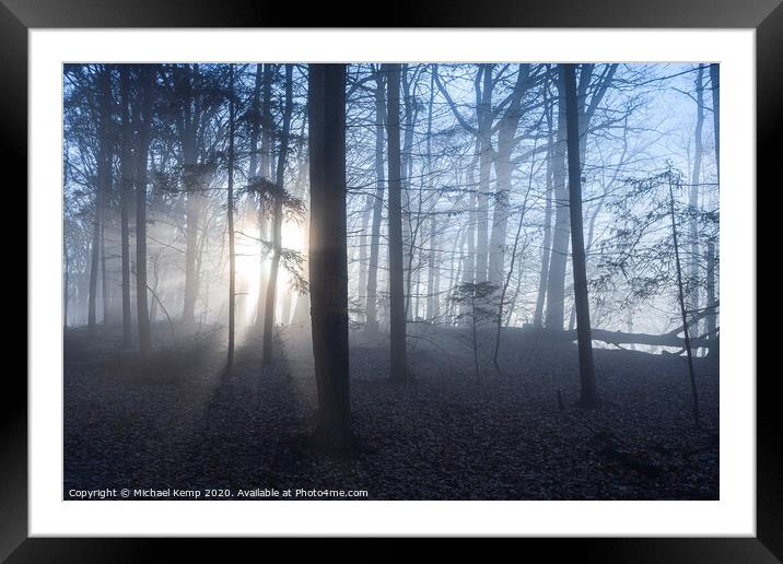 Misty forest Framed Mounted Print by Michael Kemp
