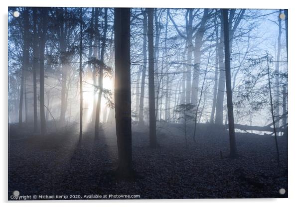 Misty forest Acrylic by Michael Kemp