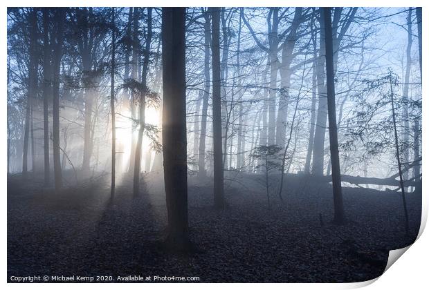Misty forest Print by Michael Kemp