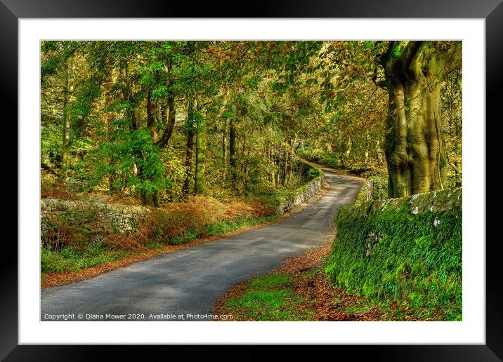 Yorkshire Dales Country Road Framed Mounted Print by Diana Mower