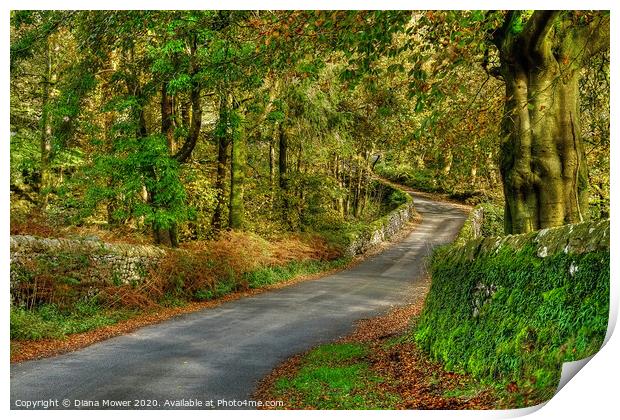 Yorkshire Dales Country Road Print by Diana Mower