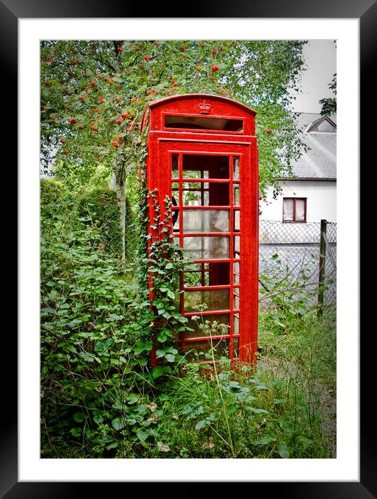 An abandoned red telephone kiosk at Buckfastleigh, Devon, UK. Framed Mounted Print by Peter Bolton