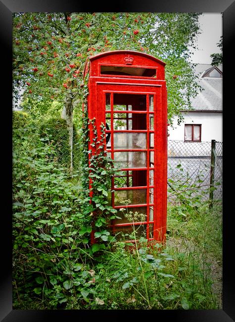 An abandoned red telephone kiosk at Buckfastleigh, Devon, UK. Framed Print by Peter Bolton