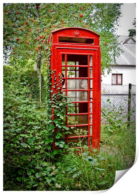 An abandoned red telephone kiosk at Buckfastleigh, Devon, UK. Print by Peter Bolton