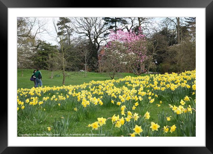 Spring in Kew Gardens Framed Mounted Print by Robert MacDowall