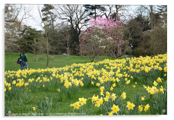Spring in Kew Gardens Acrylic by Robert MacDowall