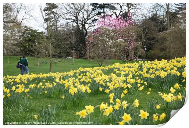 Spring in Kew Gardens Print by Robert MacDowall
