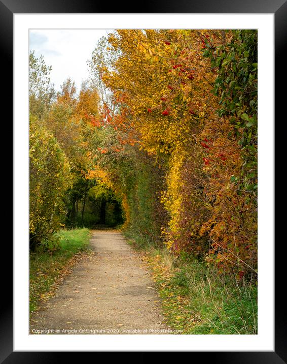 Autumn Lane Framed Mounted Print by Angela Cottingham