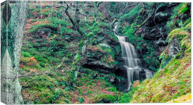 Northumberland waterfall Canvas Print by Aimie Burley