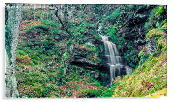 Northumberland waterfall Acrylic by Aimie Burley