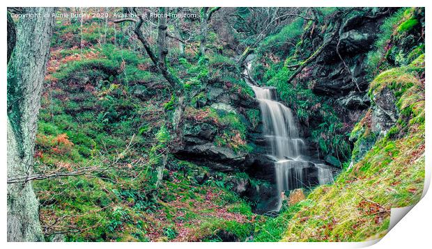 Northumberland waterfall Print by Aimie Burley